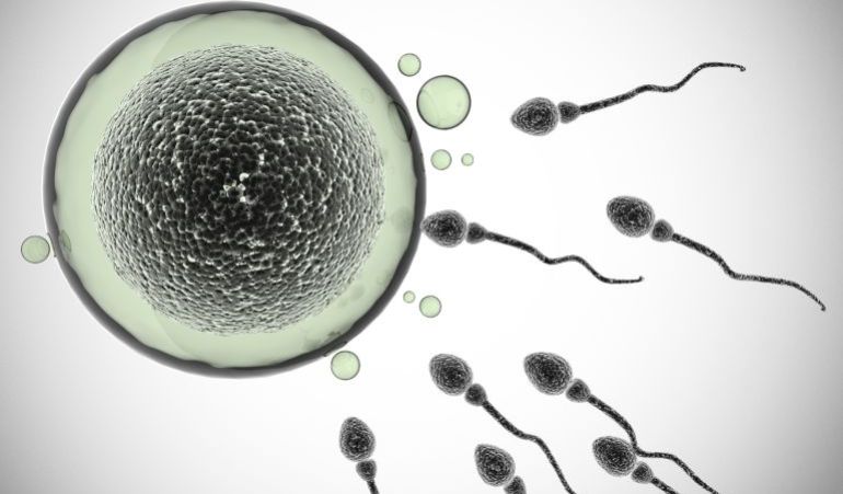 #congresoanacer ¿Habéis escuchado la entrevista a la dra. Carmen Calatayud en <a href="/SERvalencia/">servalencia</a>? cadenaser.com/emisora/2016/0…