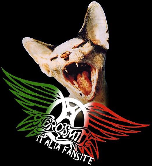 AerosmithItalia's tweet image. Follow The Italian @Aerosmith Fan Club @IamStevenT @JoePerry @joeykramer @THaerosmith #aerosmith #aerosmithitalia