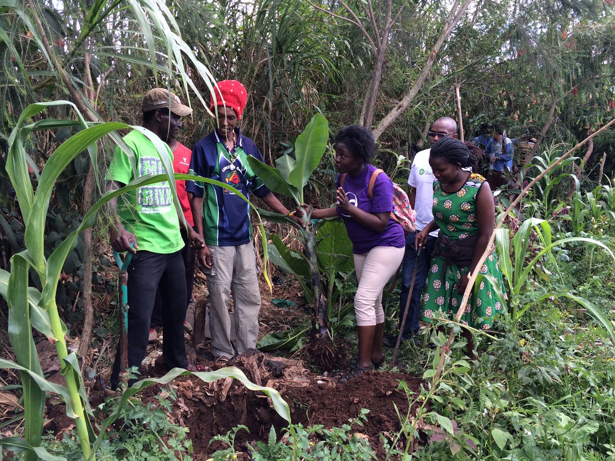 Ayshahmshe's tweet photo. It's not just a banana tree but raw material to be usd by beneficiaries at @emmanuelArts #ICSKenya2016 @VSO_Intl https://t.co/numr5S7kFE