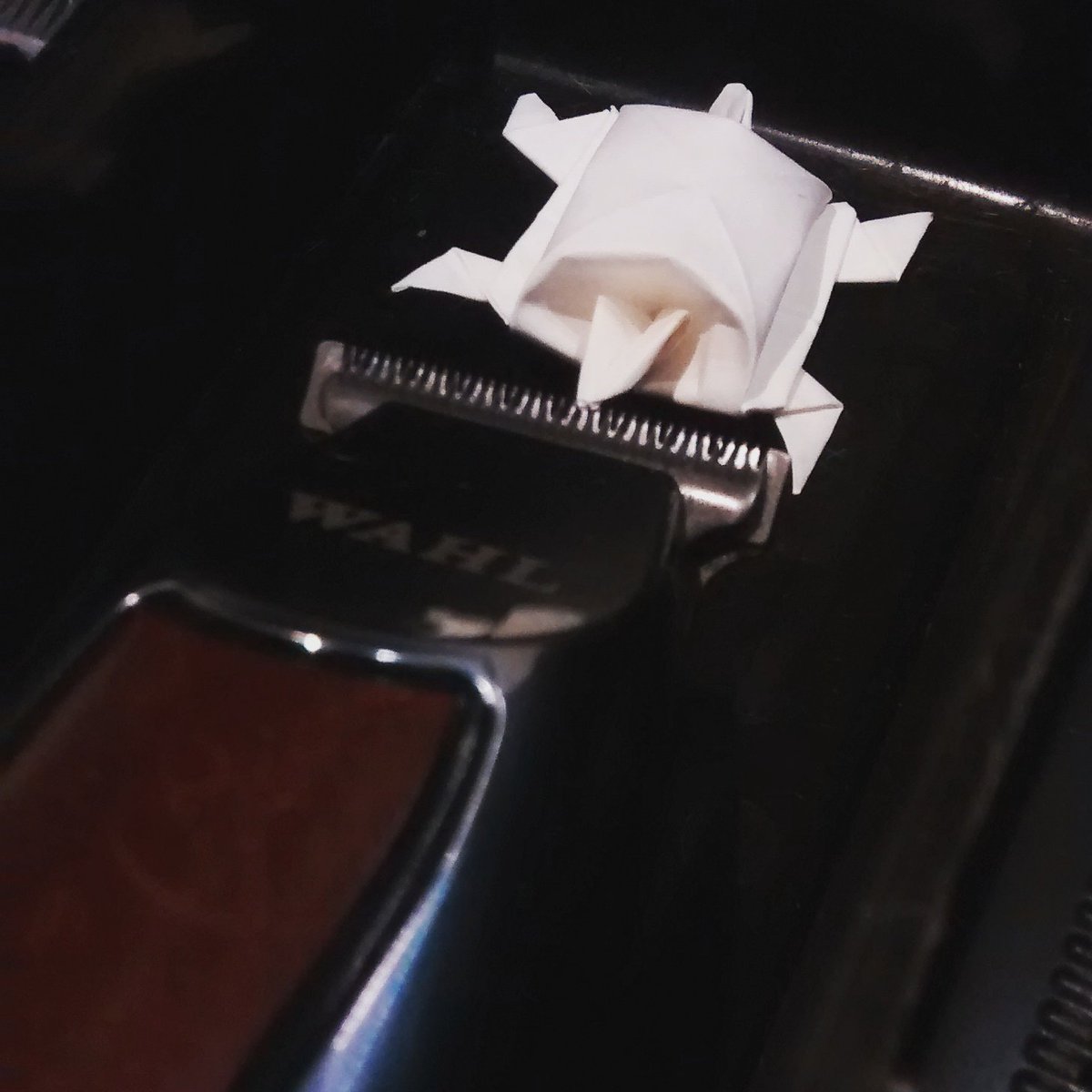 midnightbarbero's tweet photo. A client forgot his little bud, he's playing a dangerous game #barberlife #origamiturtle #origami #wahl #dublin https://t.co/IaluwzyOKE