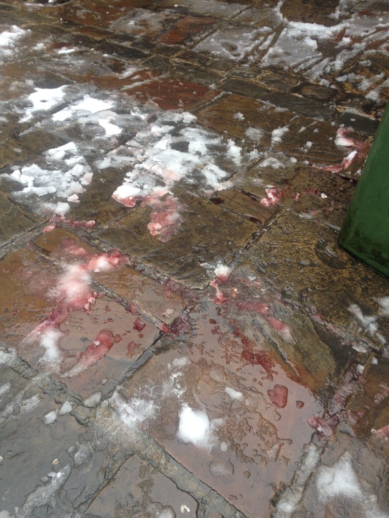 harrogatewines's tweet photo. Slipped in the snow and dropped a case of Gran Reserva does now look like a crime scene... #needgrit https://t.co/Awd65nbA4r