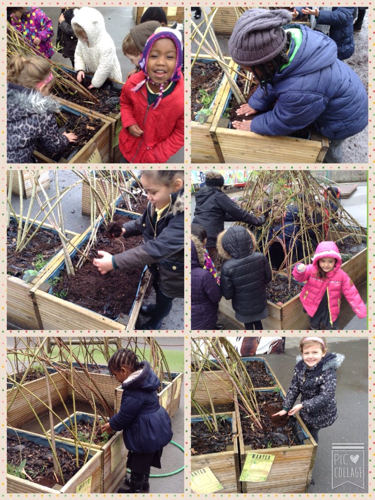 Kender_RecAlice's tweet photo. We have been learning how to look after our willow with Georgia. #greenfingers @KenderSchool https://t.co/d0MNK4EXUw