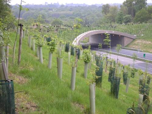NaturalEngland's tweet photo. We're hostong a session on green bridges with Land Use Consulants at 12:15 #LIAnnualConference. https://t.co/omK65cwwy3