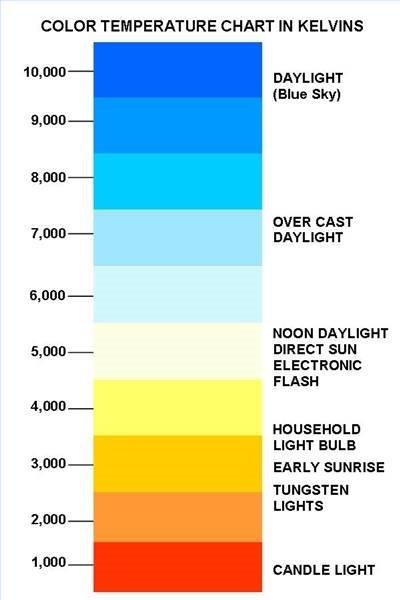WideLoyalGroup's tweet image. Happy Weekend - #WideLoyalGroup #WL #WLTips - We offer different color temperature for your customized project