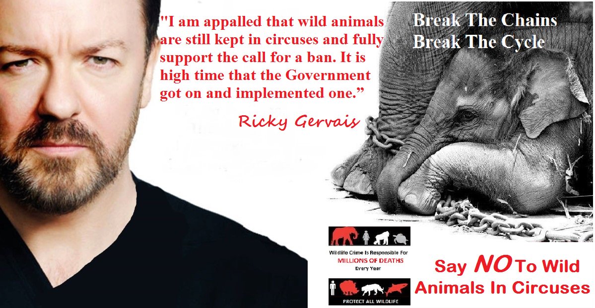 Protect_Wldlife's tweet photo. PLEASE RT: Today they are voting to #BanWildAnimalsCircuses ~ Urge MPs to make history today &amp; say YES to the Bill!! https://t.co/iW7bQ6pIv8