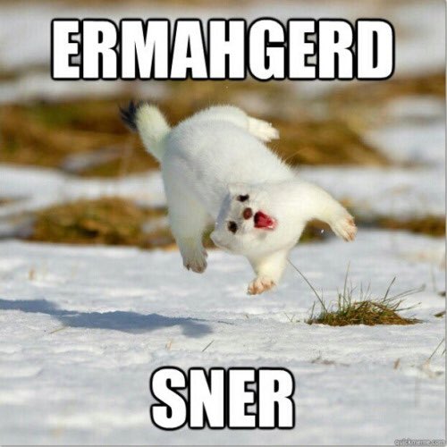 SaltDogSlims's tweet image. EHMERGERD #coldersteins #hotterdogs #openat3