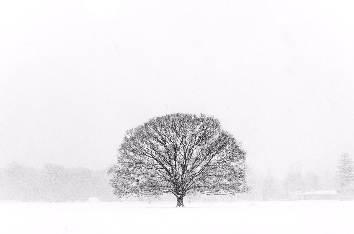 laycomathi's tweet image. 主に風景、花、小物系など撮ってます。愛機はNikonＤ5100.P900。写真は2日から3日に1度アップしてます。良かったら見てやって下さい。フォローお気軽にー( ･ㅂ･)