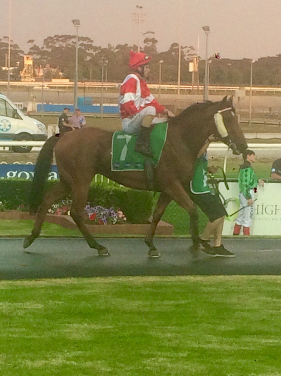 tjpracing's tweet photo. Right To Play right to go @CranTurfClub race 3. Good luck to connections. @stelmo_racing @arrexalexxa #needawinner https://t.co/GPsbejp6LW