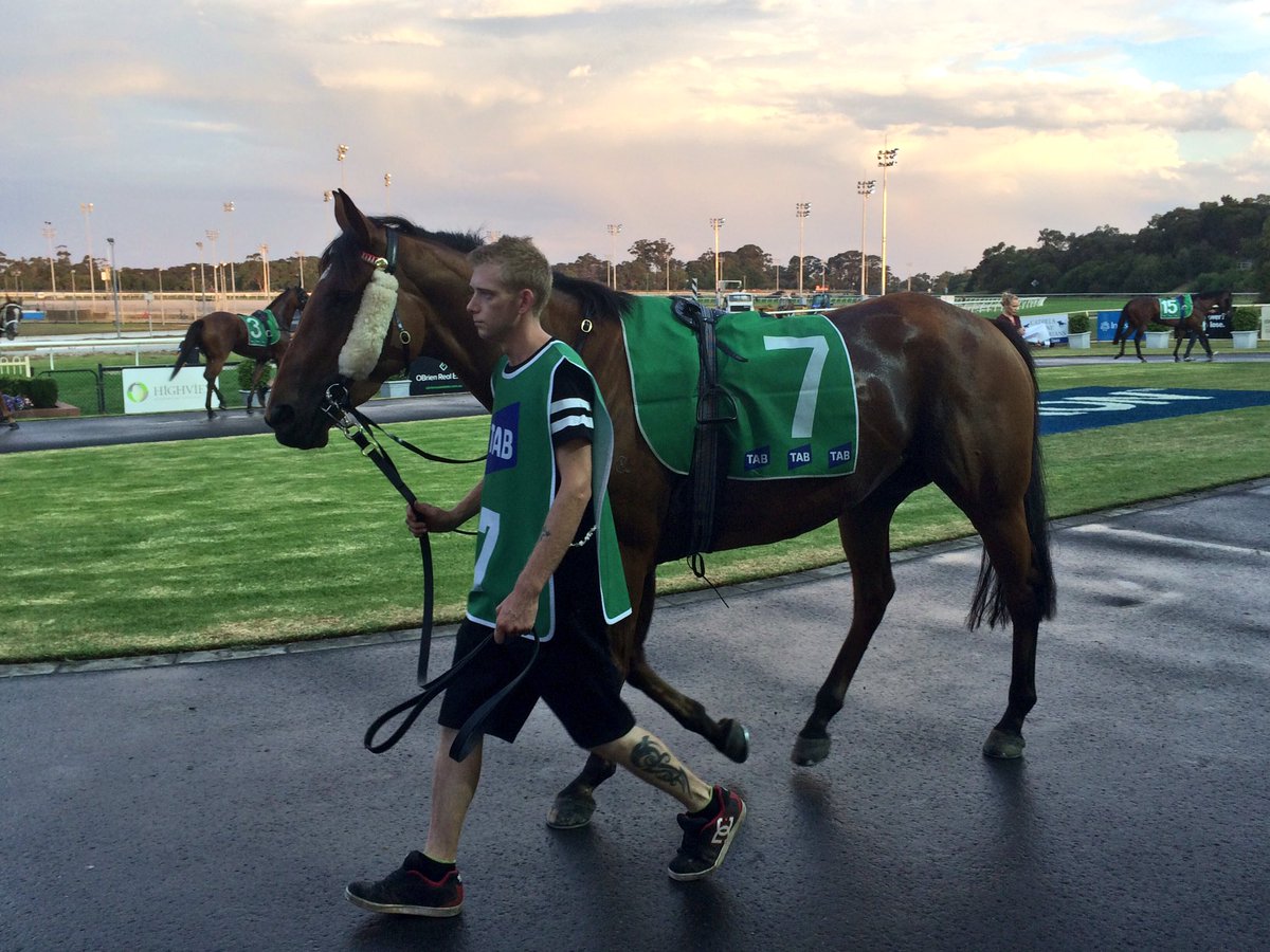 arrexalexxa's tweet photo. RIGHT TO PLAY in the next @CranTurfClub for @tjpracing @stelmo_racing - best of luck to connections #nicehorse https://t.co/DdFo4ztrOt