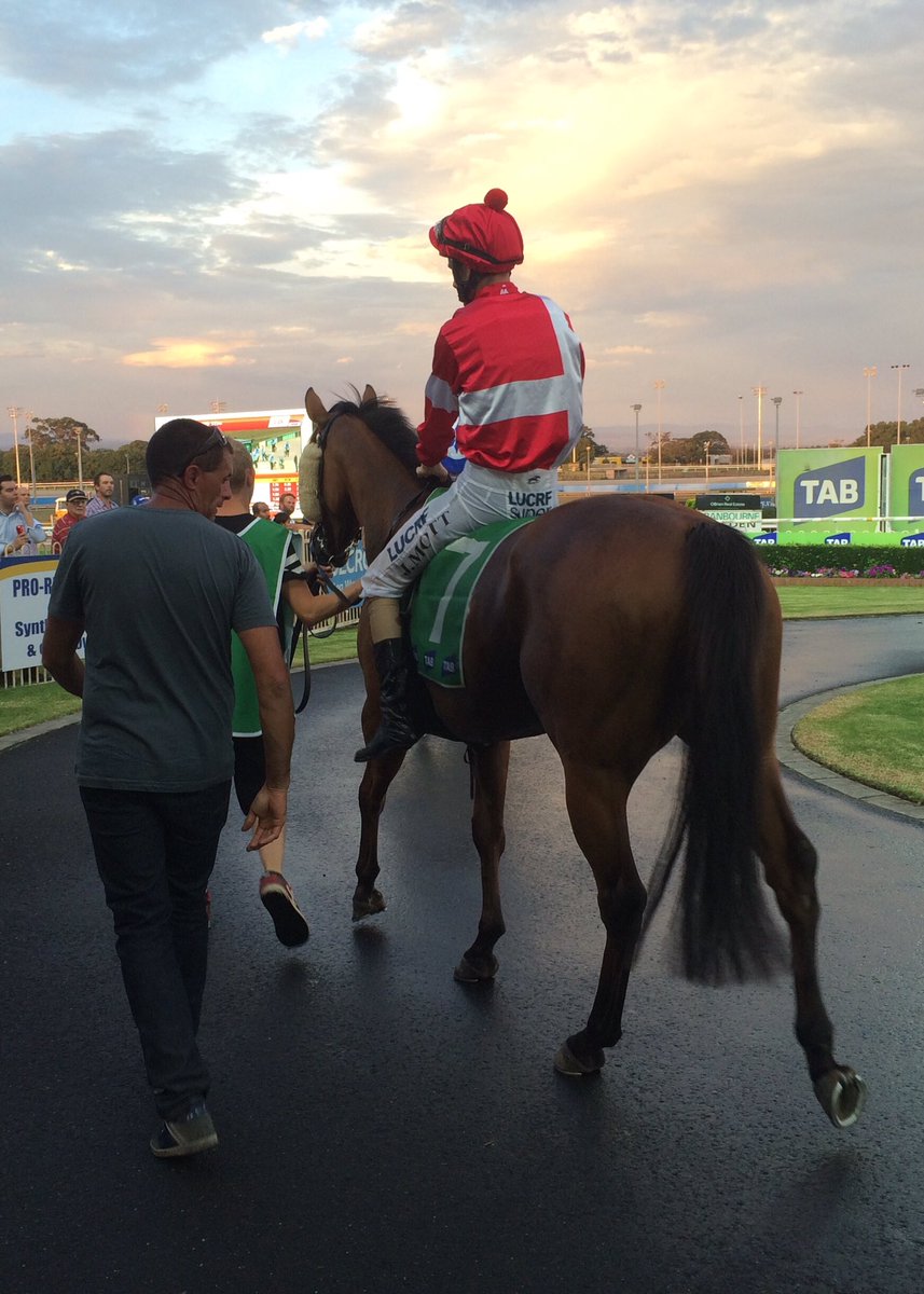 arrexalexxa's tweet photo. RIGHT TO PLAY in the next @CranTurfClub for @tjpracing @stelmo_racing - best of luck to connections #nicehorse https://t.co/DdFo4ztrOt