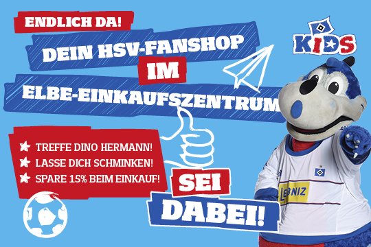 HSV Fanartikel