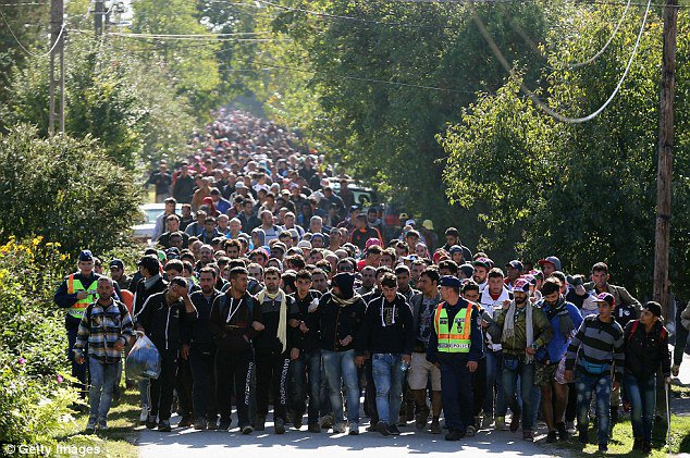 CAPTDSPAWN5's tweet photo. "@TheMuslimIssue: https://t.co/o8JXqv85b4 LOOK MOM ! ANOTHER ROUND OF