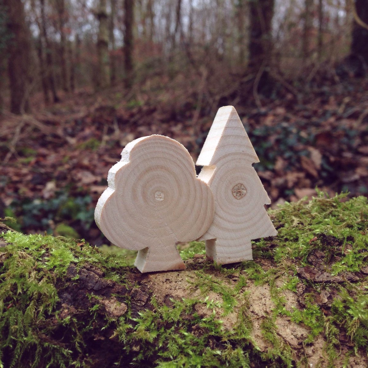 ForestryEngland's tweet photo. Follow us on @instagram: https://t.co/Z8x9LJgqno https://t.co/ryy5zyz21I