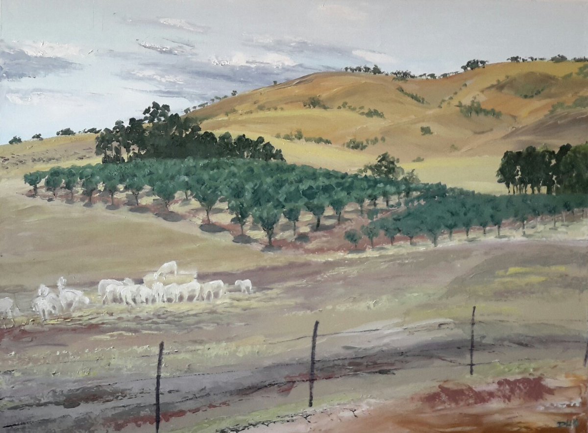 dawnllim's tweet photo. #pleinair #Oil #painting #Rainbowgallerycafe #Pyreneesshire #Grampians ❤  love where I live in  #Moonambel https://t.co/TC72KKMgtD