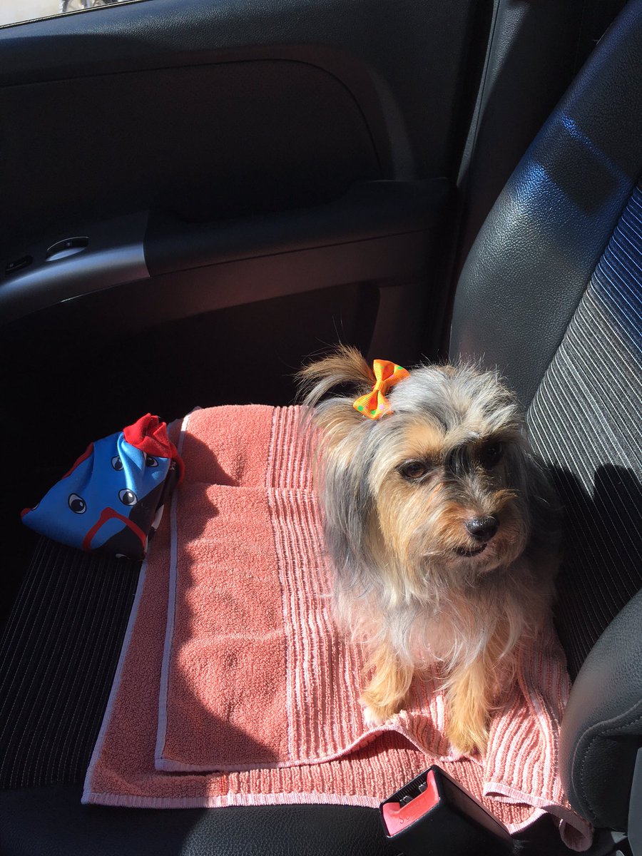 铃木奈雪 tweet media