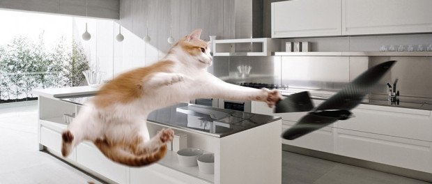 GreentechLiveDe's tweet image. #BionicBird: Vogel mit App-Steuerung ...#Video #Startups techfieber.de/2016/03/04/bio… #Apps #drones #cameras