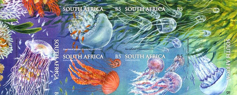 bobshopcoza's tweet image. Topical stamp collectors will want to have these South African jellyfish stamps: goo.gl/3tuaHe