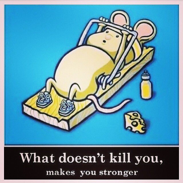 vlmulya64's tweet photo. #happy friday! #workingoutispayingoff #runner #runnerbliss #runlikeagirl #sweatpink #runnergirl https://t.co/Km77UTQ0TL