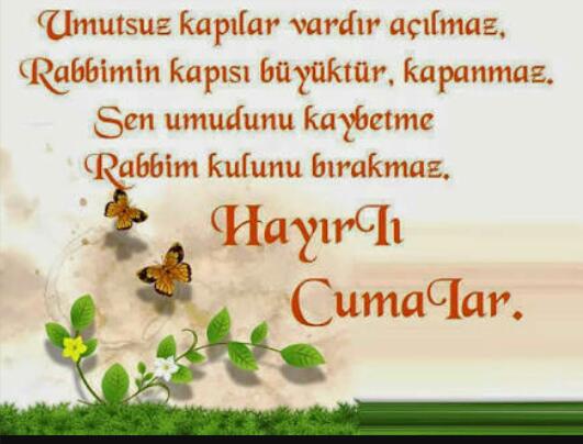 haydin tweet media