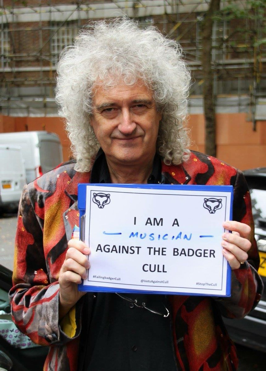 VetsAgainstCull's tweet photo. Send us your #supportselfie against the #failingbadgercull like @DrBrianMay has! https://t.co/qN4JaHOG7L