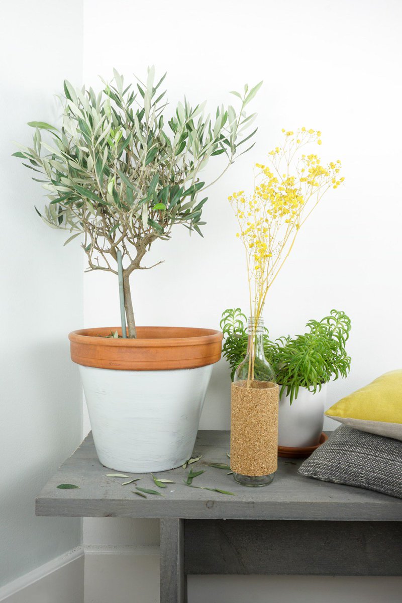 stekmagazine's tweet photo. Zo maak je zelf een plantenbank. Idee &amp; styling @hannekeeilander https://t.co/8Nd7gPSYoq https://t.co/3t7Zu9FMx1