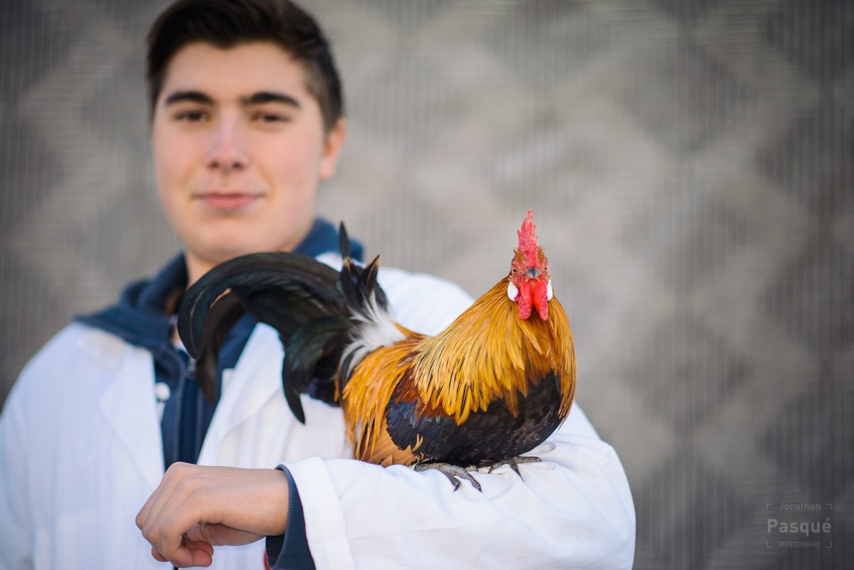 Portrait du jour au #SIA2016 dans la série photos « Métiers à tisser » sur France 3
-> francetv.in/MetiersATisser