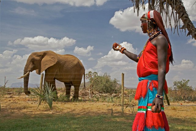 ZiaraGroup's tweet photo. Samburu National Park is the heartbeat of Tourism for #IsioloRising you need to visit this jewel. #TravelLocal https://t.co/aAIqMTLApK