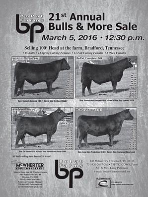 TennesseeCattle's tweet photo. Don't miss BoPat Angus' sale tomorrow (March 5) in Bradford, TN! #ranchlife #angus https://t.co/O5qXmwjaPo