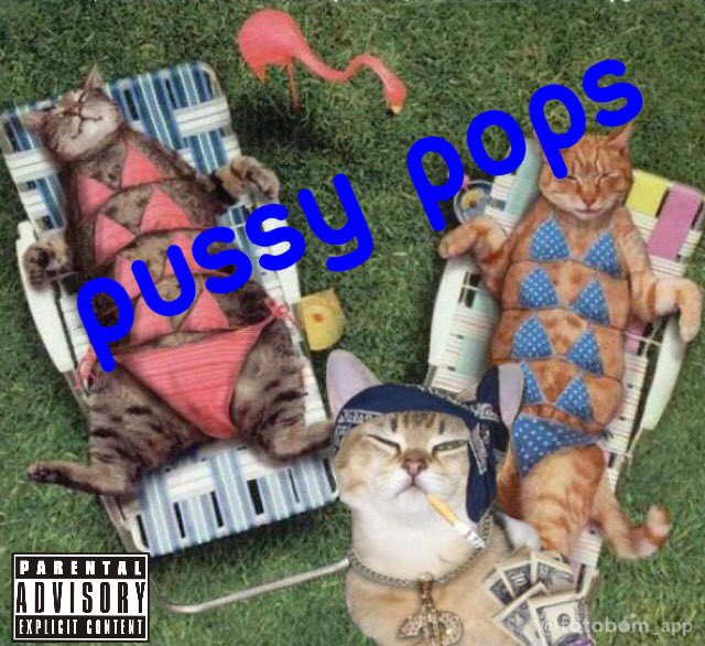 PussyRapGod's tweet photo. Knew albim drahpin fukin quik. 😏 https://t.co/zrtVwRxoN0