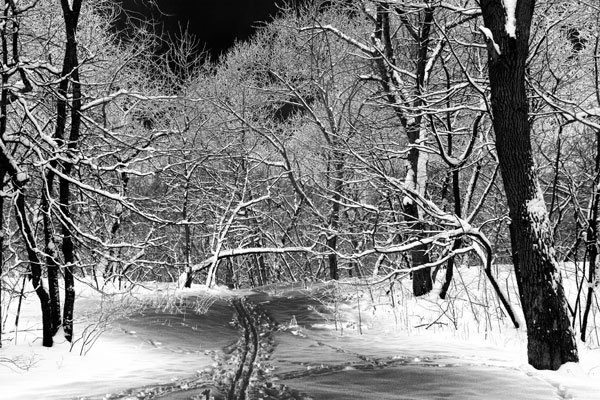 outdoorfest's tweet photo. Will we have enough snow to play in the park again this weekend?#getoutsideguide https://t.co/89PBWWfooq https://t.co/3TWFS3jaqx