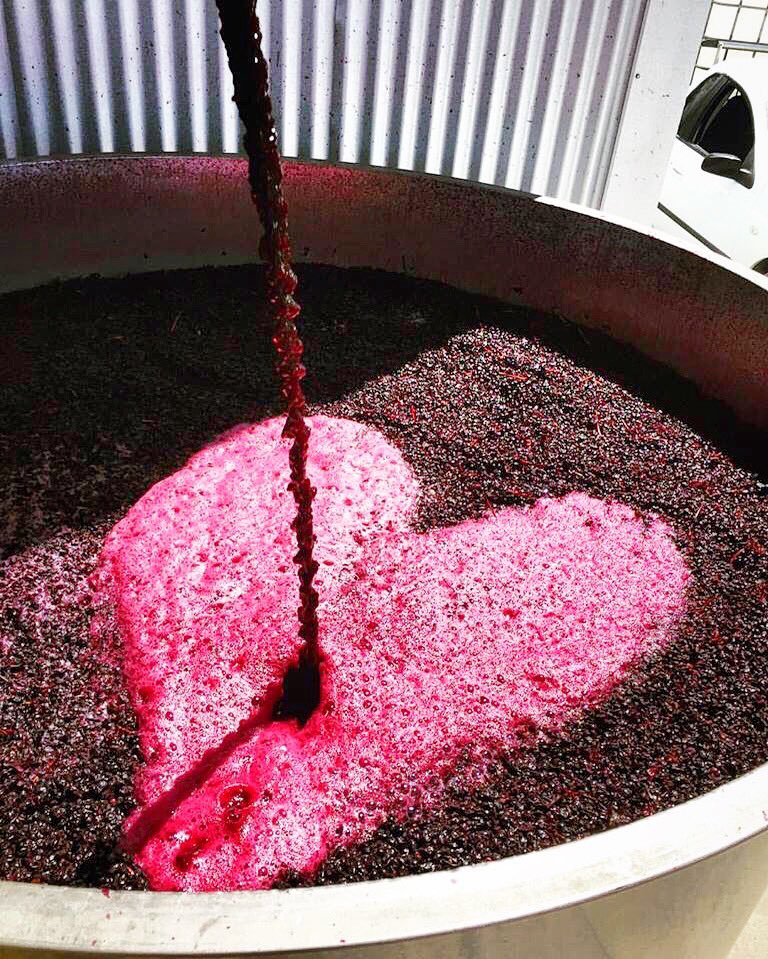 Putting love into wine <a href="/TomfooleryWines/">The fools</a>.  pic <a href="/sommyslimy/">Sarah Limacher</a>
