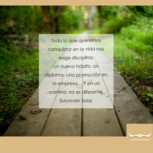 condorblanco's tweet photo. Conoce más de la disciplina
#CONDORBLANCO El Libro dorado.
¡No te quedes sin el tuyo! https://t.co/GcXo3vMrbm