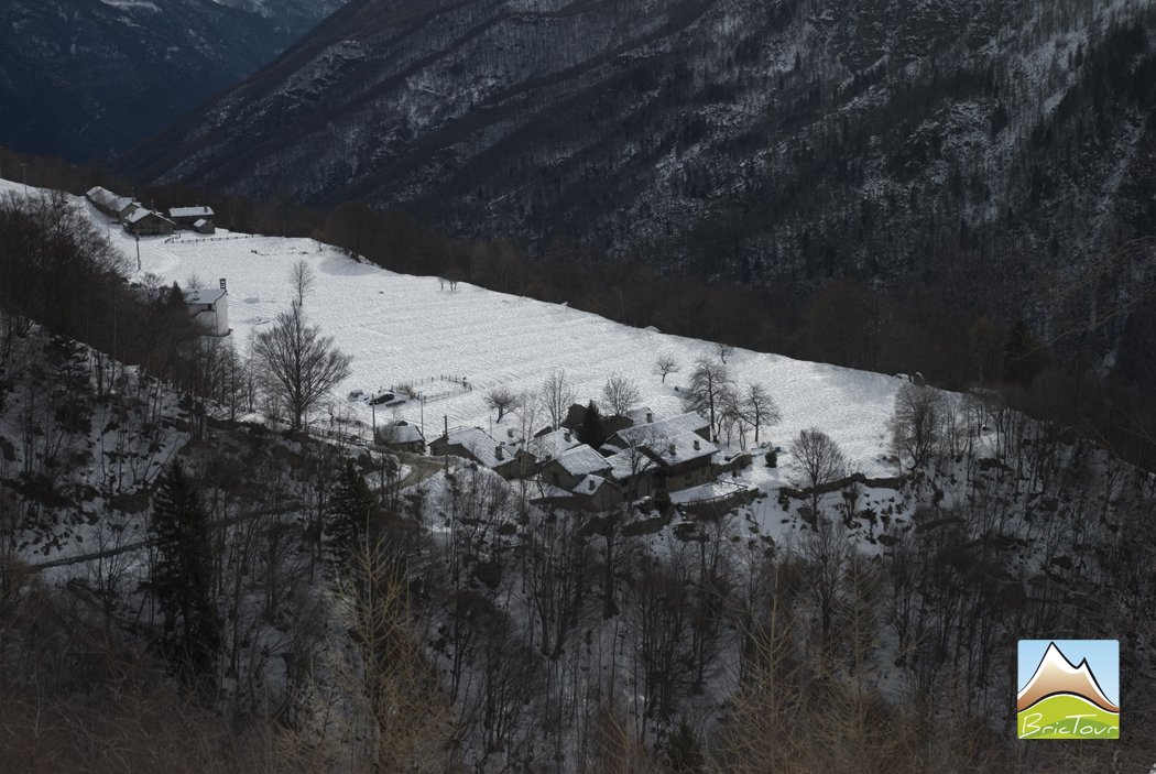 BricTour's tweet photo. Domani facciamo una ciaspolata ad anello tra Alboni, Rivotti e Mea unendo le nuove strade forestali. #VallidiLanzo https://t.co/IpUZ44sLLw