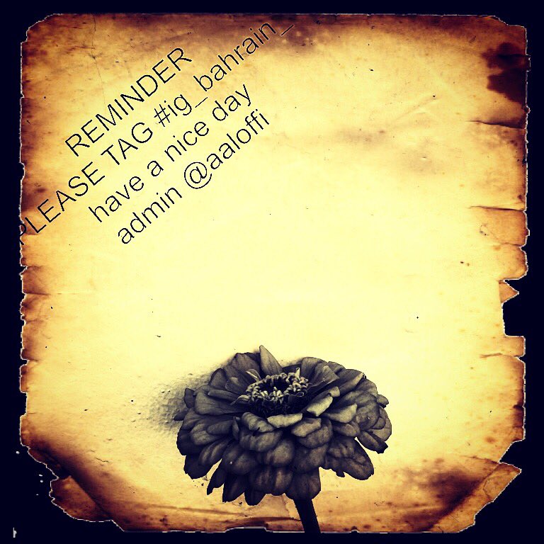 adelaloffi's tweet photo. #Instagram #community #account in #Bahrain #follow us to feature your best photos #البحرين #السعودية #الكويت #تصوير https://t.co/iKG8tyIqQe