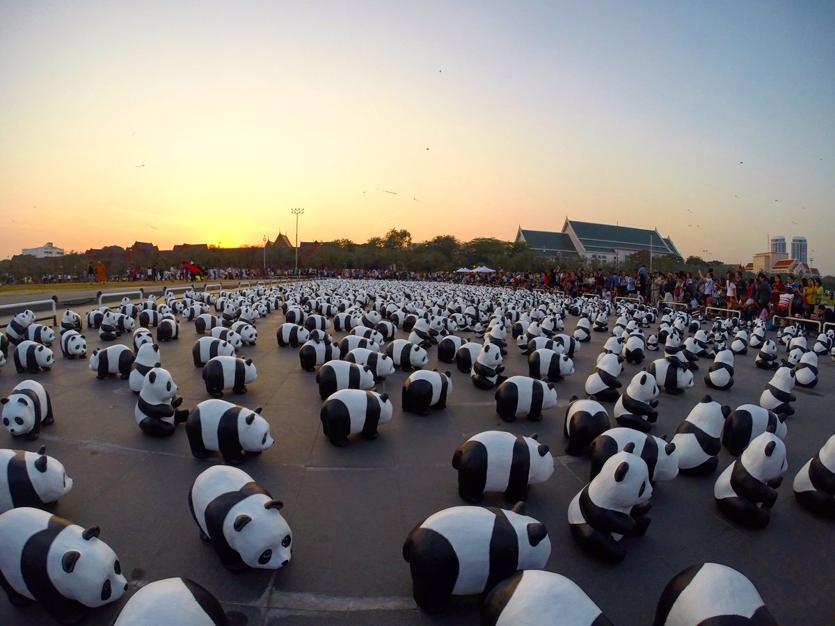 Ko_Thirachai's tweet photo. @js100radio 4 ก.พ. 59 ทัพแพนด้าบุกสนามหลวง #1600pandas #1600pandasworldtour https://t.co/VjlJbWJPY7