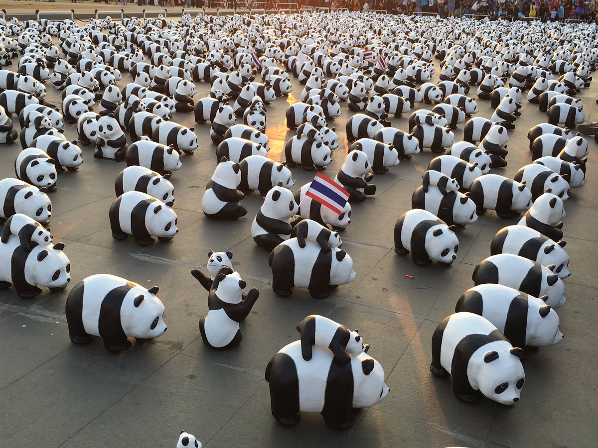 Ko_Thirachai's tweet photo. @js100radio 4 ก.พ. 59 ทัพแพนด้าบุกสนามหลวง #1600pandas #1600pandasworldtour https://t.co/VjlJbWJPY7