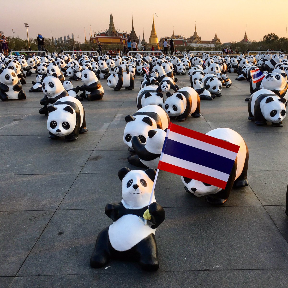 Ko_Thirachai's tweet photo. @js100radio 4 ก.พ. 59 ทัพแพนด้าบุกสนามหลวง #1600pandas #1600pandasworldtour https://t.co/VjlJbWJPY7