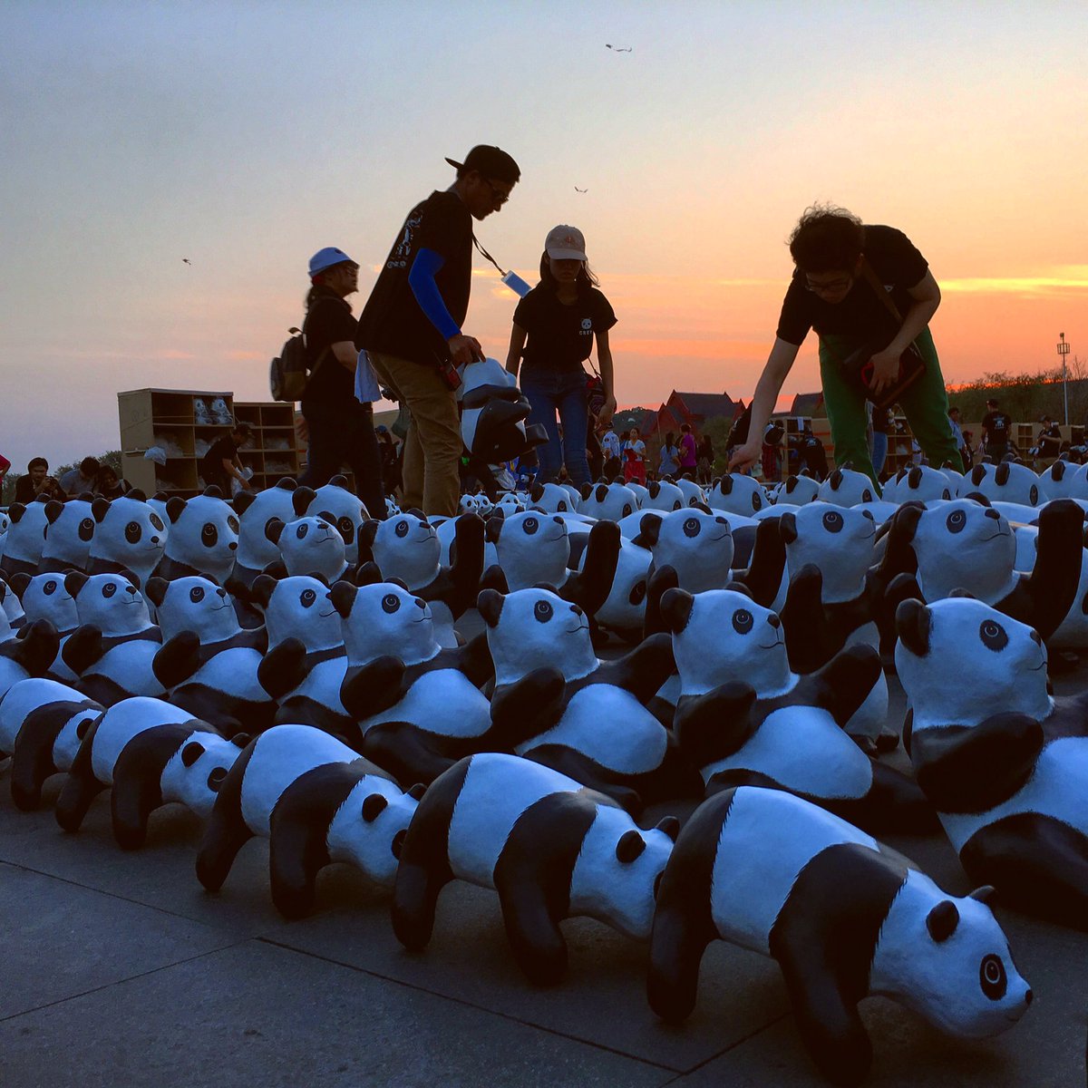 Ko_Thirachai's tweet photo. @js100radio 4 ก.พ. 59 ทัพแพนด้าบุกสนามหลวง #1600pandas #1600pandasworldtour https://t.co/VjlJbWJPY7