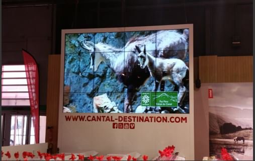 videlioinfo's tweet image. Quel prestataire technique pour @Salondelagri #paris #MurLed #Postproduction #Sonorisation videlio.com/actualites/264…