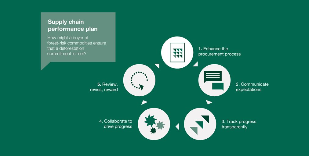 CDP's tweet photo. Purging deforestation in supply chains: What steps should companies be taking? https://t.co/bZgGgKZcHF #CDPForests https://t.co/KWmmpTt4YB