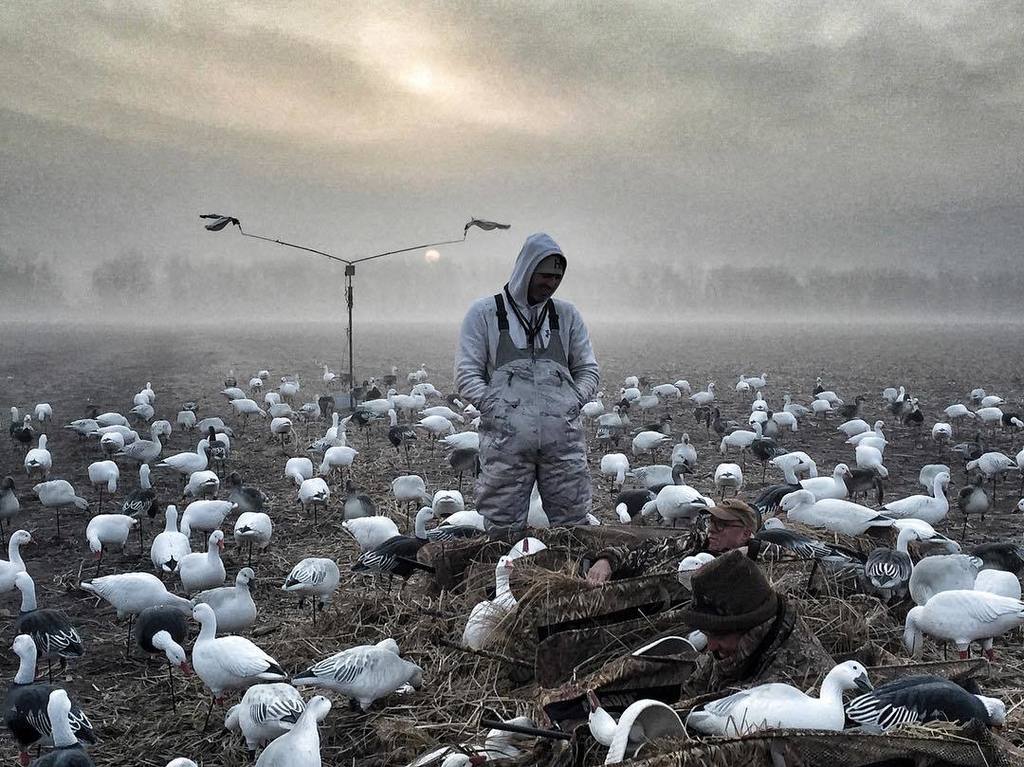 TonyVandemore's tweet photo. Happy Foggy #FowlFriday! #Snows16
#BehindTheHunt #HabitatFlats #UAFowl #SnowGoose #Spring… https://t.co/Gel92IHdVr https://t.co/lvydRiZp7V