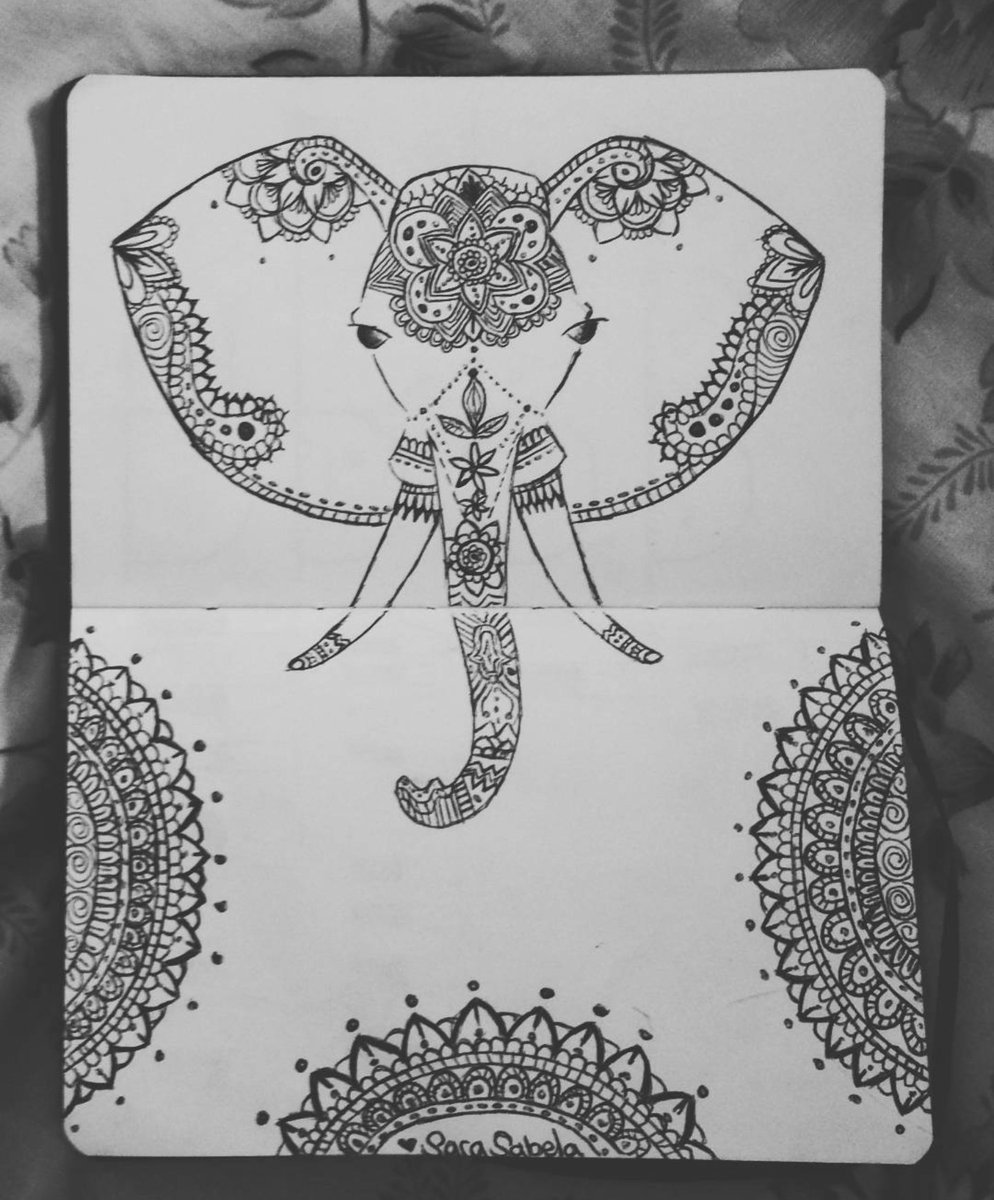 13SABELA's tweet photo. Elephant 🐘 https://t.co/MTnjdQnJ3y
