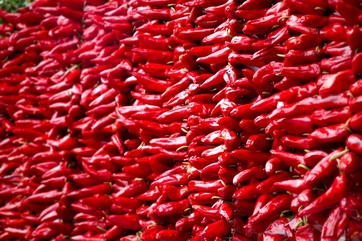 DraftAndCraft's tweet image. @DC_Bootcamp1 @TopChefA3 J&apos;aime le piment d&apos;espelette !