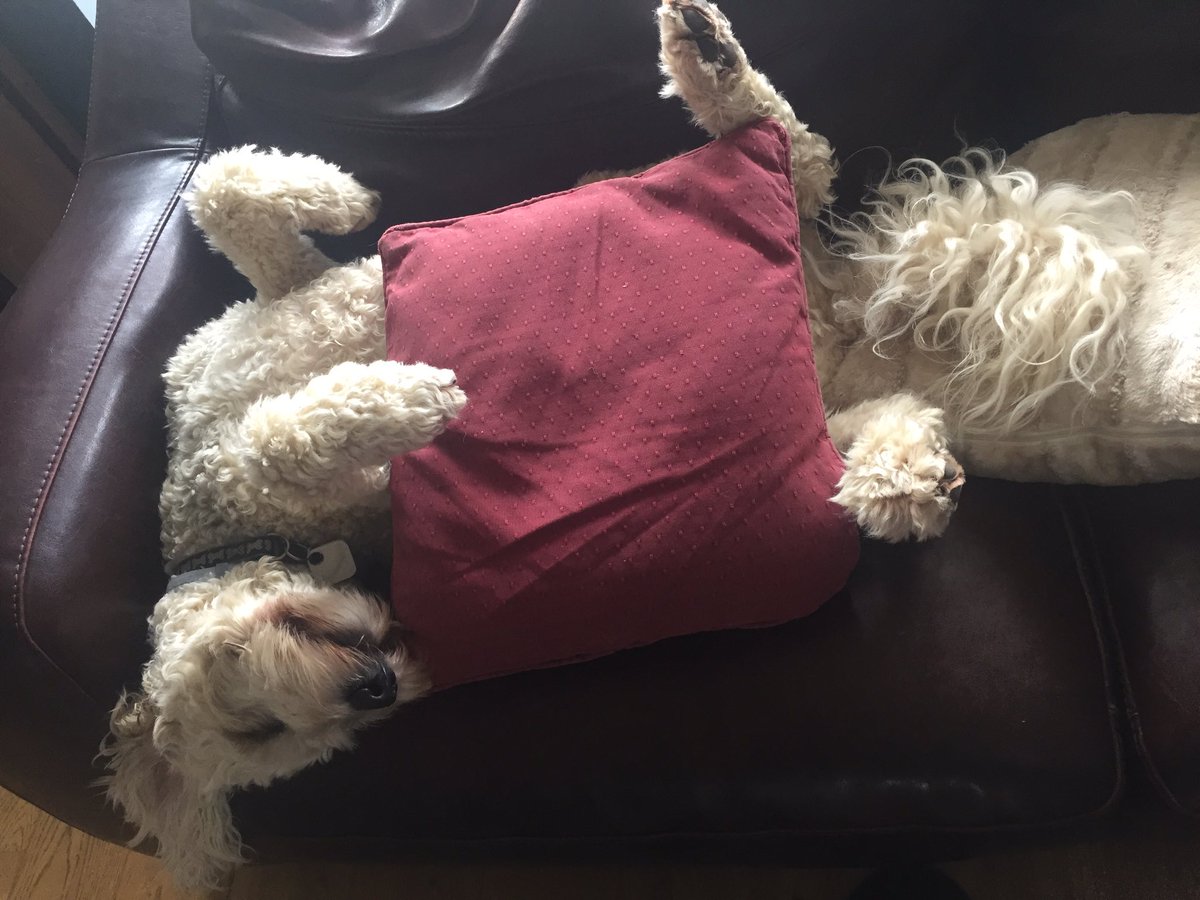 RatherWarm's tweet photo. #FridayFeeling Its been a tough week for some of us ! https://t.co/gQ3O9OxLMQ