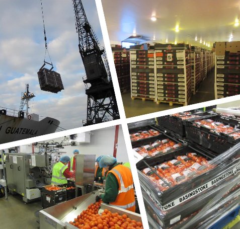 Ensuring the UK's 5-a-day! Turnkey design of a bespoke fruit storage and packing facility for <a href="/abports21/">ABP: the UK’s leading ports group</a> Southampton