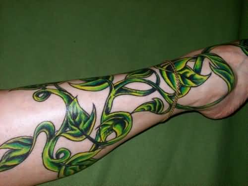 TattoosWin's tweet photo. Different Meanings Behind the Vine Tattoos at
https://t.co/xpwDT8A1Wf
#VineTattoos https://t.co/nHTzSMjsOS