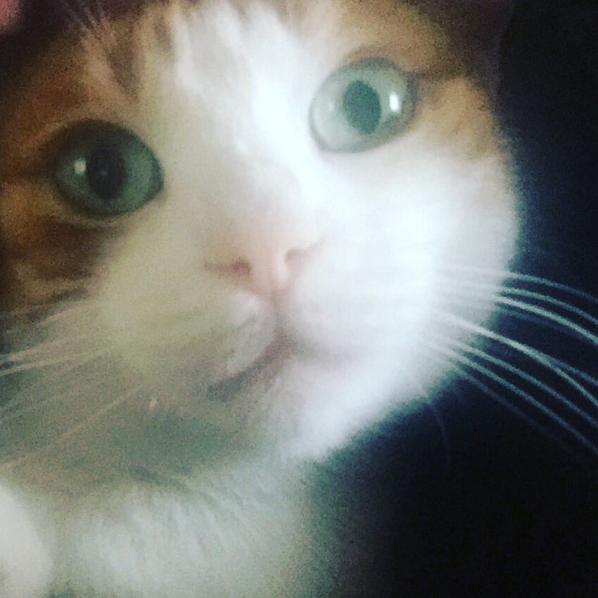 IoustinaB's tweet image. 