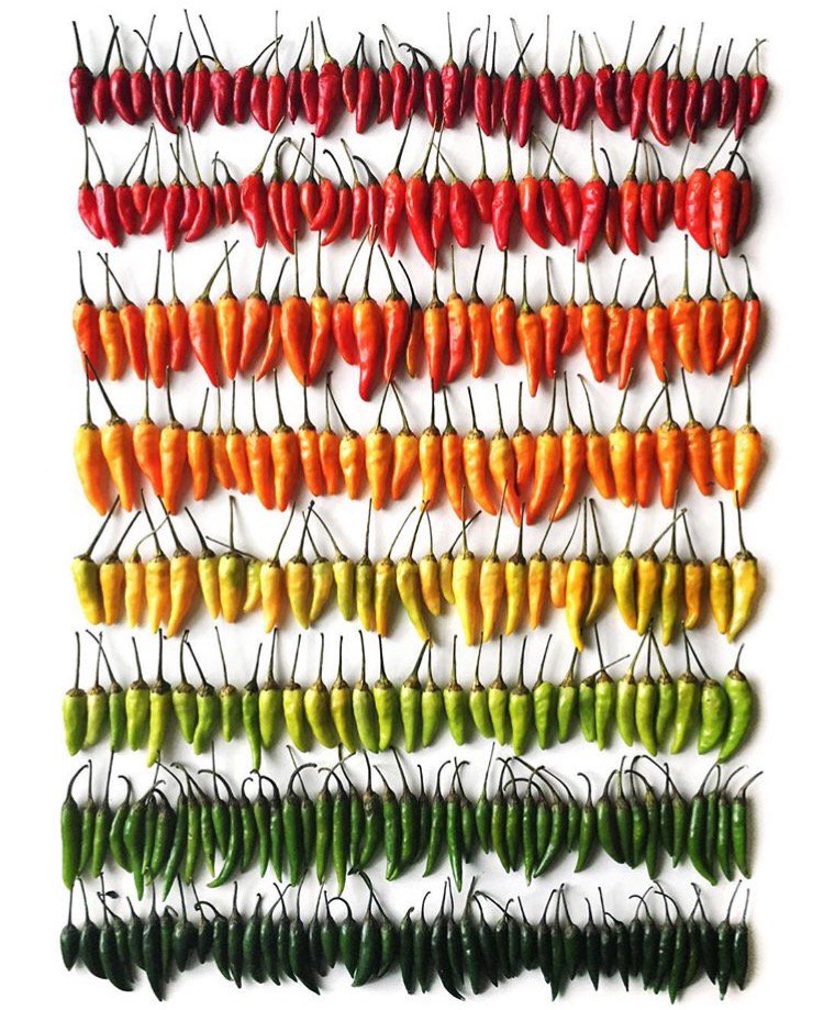 thefoodtrust's tweet image. What's your favorite dish to add chili peppers to? #EatARainbow #WrightKitchen #FoodieFriday