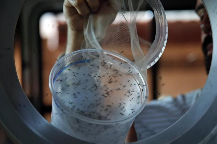 How do you solve a problem like the Zika virus? @ZachStGeorge investigates:
bit.ly/1LDZOS6