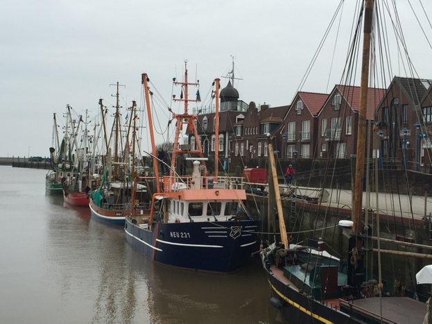 SandraDroege's tweet photo. #Fischer in #Neuharlingersiel sind startklar für die neue Saison. Nächste Woche geht's wieder auf #Krabbenfang https://t.co/P8YhupGD2l
